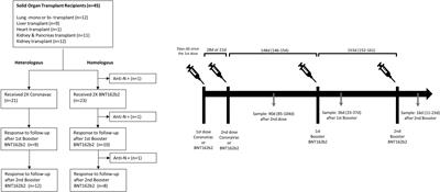 Impact of homologous and heterologous boosters in neutralizing antibodies titers against SARS-CoV-2 Omicron in solid-organ transplant recipients